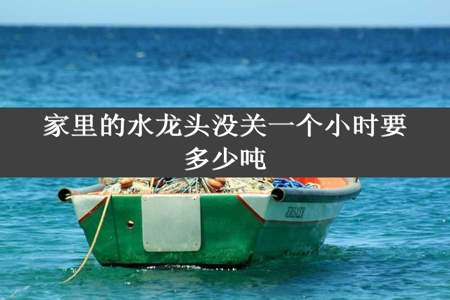 家里的水龙头没关一个小时要多少吨