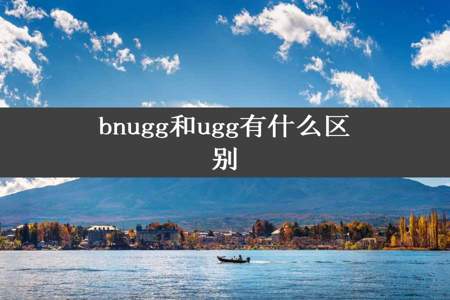 bnugg和ugg有什么区别