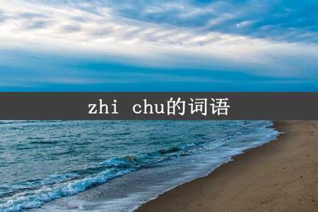 zhi chu的词语