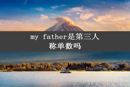 my father是第三人称单数吗