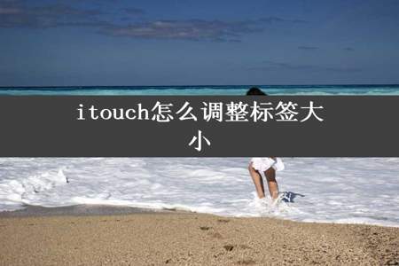 itouch怎么调整标签大小