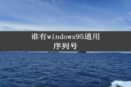 谁有windows95通用序列号