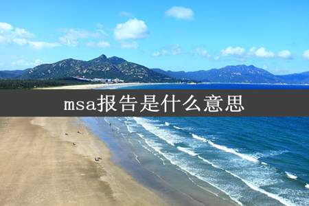 msa报告是什么意思