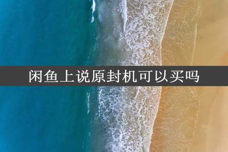 闲鱼上说原封机可以买吗