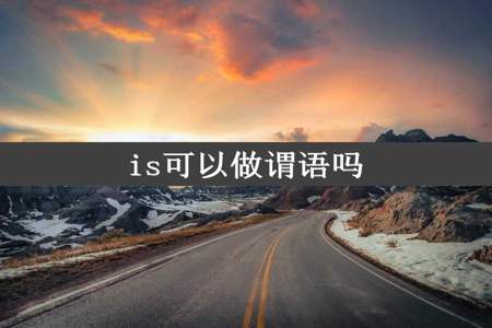 is可以做谓语吗