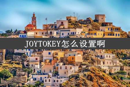 JOYTOKEY怎么设置啊