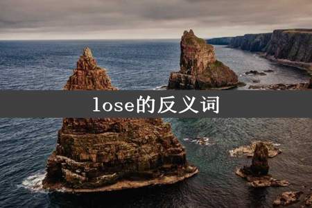 lose的反义词