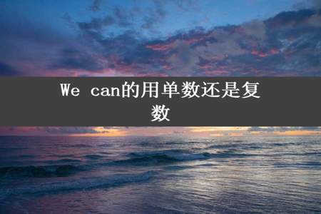 We can的用单数还是复数