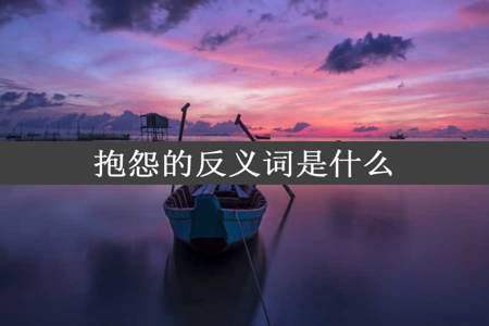 抱怨的反义词是什么