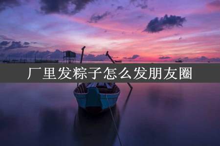 厂里发粽子怎么发朋友圈