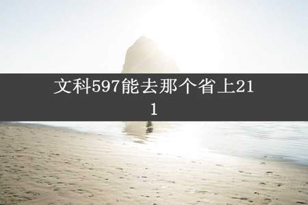 文科597能去那个省上211