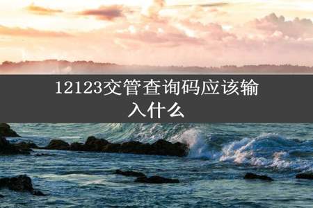 12123交管查询码应该输入什么