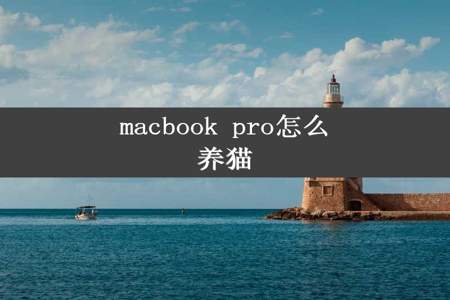 macbook pro怎么养猫