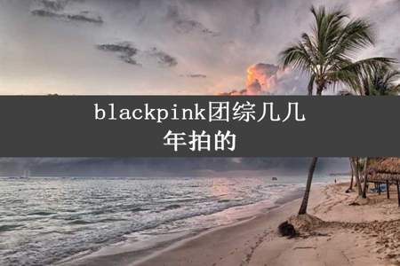 blackpink团综几几年拍的