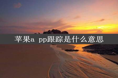 苹果a pp跟踪是什么意思