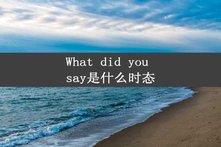 What did you say是什么时态