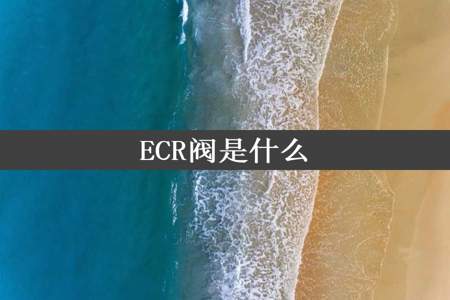 ECR阀是什么