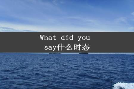 What did you say什么时态