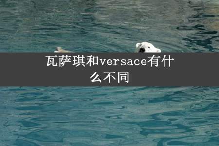 瓦萨琪和versace有什么不同