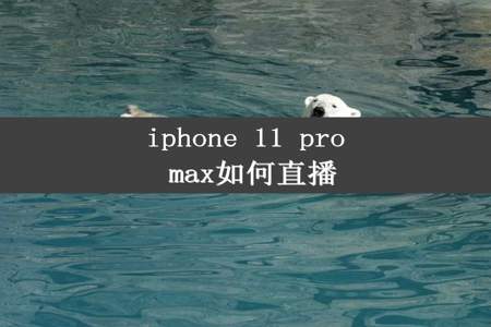 iphone 11 pro max如何直播