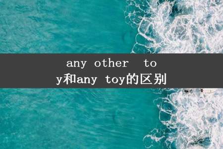 any other  toy和any toy的区别