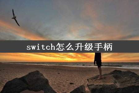 switch怎么升级手柄