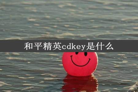 和平精英cdkey是什么