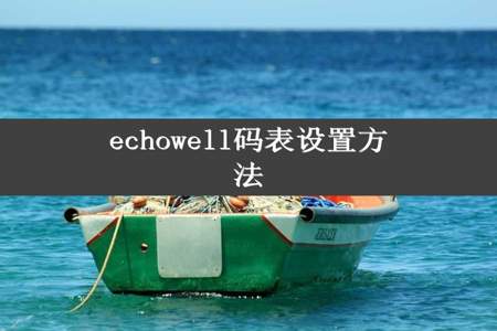 echowell码表设置方法