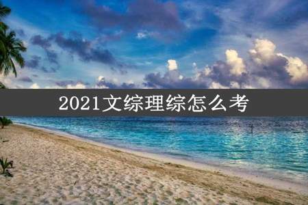 2021文综理综怎么考