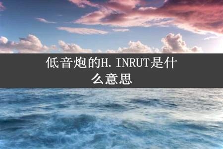 低音炮的H.INRUT是什么意思