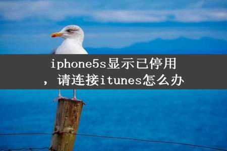 iphone5s显示已停用，请连接itunes怎么办