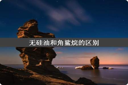 无硅油和角鲨烷的区别