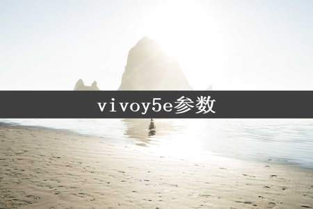 vivoy5e参数