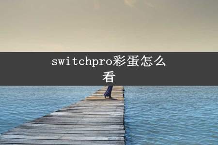 switchpro彩蛋怎么看