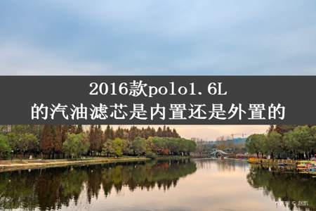 2016款polo1.6L的汽油滤芯是内置还是外置的