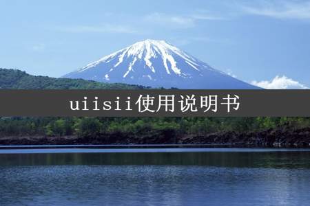 uiisii使用说明书