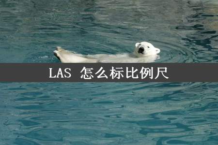 LAS 怎么标比例尺