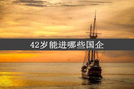 42岁能进哪些国企