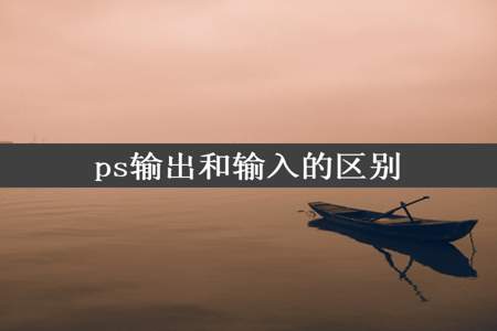 ps输出和输入的区别