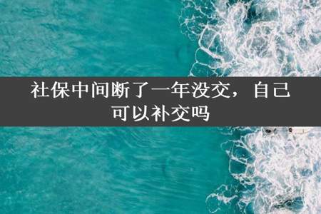 社保中间断了一年没交，自己可以补交吗