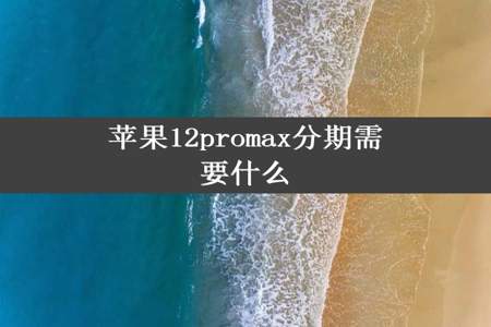 苹果12promax分期需要什么