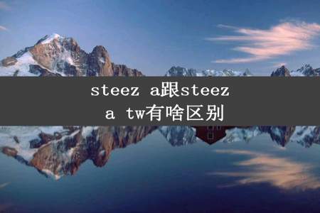 steez a跟steez a tw有啥区别