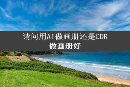 请问用AI做画册还是CDR做画册好