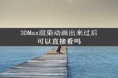 3DMax渲染动画出来过后可以直接看吗