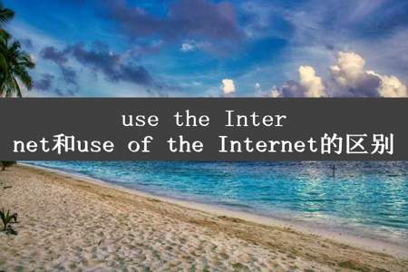 use the Internet和use of the Internet的区别