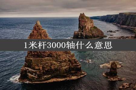 1米杆3000轴什么意思