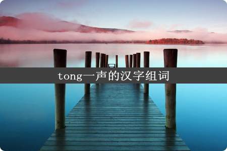 tong一声的汉字组词