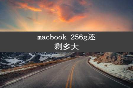 macbook 256g还剩多大