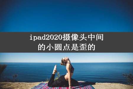 ipad2020摄像头中间的小圆点是歪的