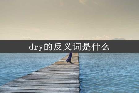 dry的反义词是什么